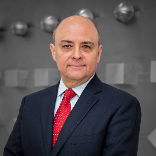 Dr. Sergio Manuel Alcocer Martínez de Castro